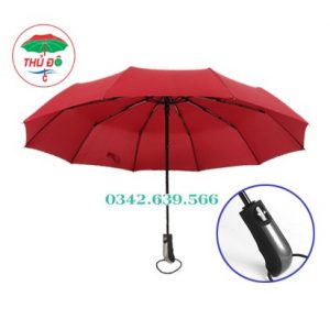 Ô cầm tay gập 3 tự động 2 chiều 10 nan